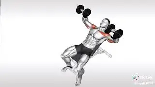 Fitness , gym krne ke best step, chest, and back