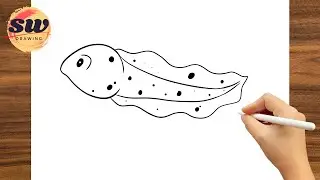 How to Draw Tadpole