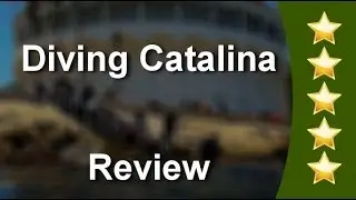 Diving Catalina Avalon          Incredible           5 Star Review by Edwin P.