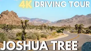 Joshua Tree National Park Driving Tour 4k 🌵 Park Boulevard Scenic Drive 🌵California Desert