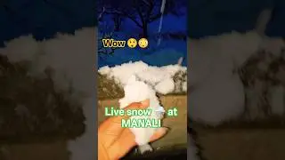 Live snow 🌨️ MANALI फुल बर्फ बारिश #shortvideo #trending #livesnow #shortsfeed #shorts