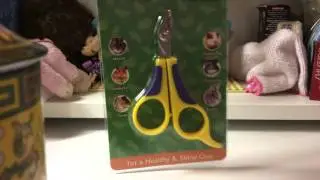 What I got my guinea pigs as a late Christmas present