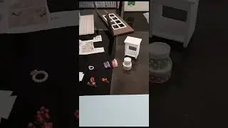 DIY House - Forest Times