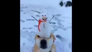 Vine - Do You Wanna Build a Snowman?