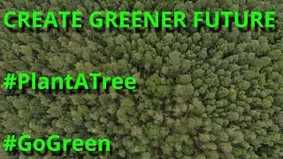BIG Impact, SMALL Action | PLANT TREES | #PlantATree | #GoGreen