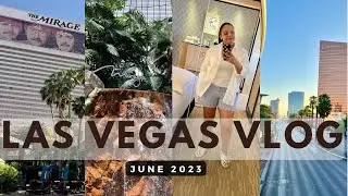 ЛАС-ВЕГАС VLOG | Июнь 2023 | ЧАСТЬ 3 | Mirage Tier Match | Прогулка по стриптизу | Обслуживание н...