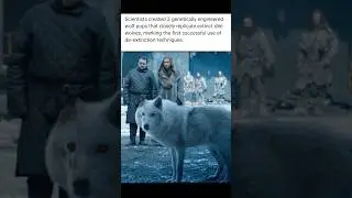 Scientists created genetically engineered wolf from Games of The Thrones 😳#edit #shortvideo #creepy