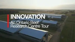 Innovation - An Ontario Beef Research Centre Tour