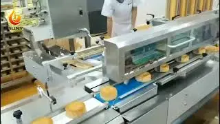 Moon Cake Packing Machine