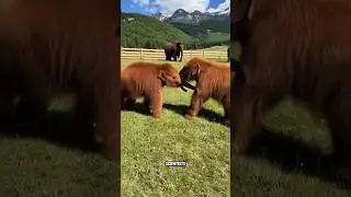 &ldquo;The Return of the Ice Age Giant 🐘 | The Powerful Woolly Mammoth Lives Again!&rdquo;