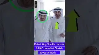 Dubai King Sheikh Hamdan Fazza & UAE president Sheikh Zayed Al Nahyan #reel #fazza3team #shortvideo