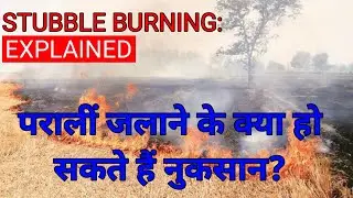 STUBBLE BURNING: COULD THERE BE AN ALTERNATIVE TO STUBBLE BURNING || ECOSYSTEM OF STUBBLE BURNING |