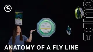 Anatomy of a Fly Line