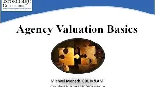 Insurance Agency Valuation Basics