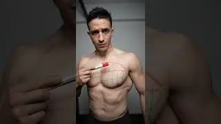 Build bigger chest at home ! Best exercises ! 🔥
