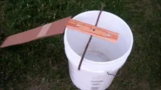 chipmunk / rodent bucket trap