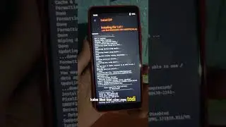 Instal ROM Pixel Experience Plus Android 10 di Redmi Note 5 Pro 