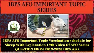 Vaccination schedule for Sheep IBPS AFO Important Topic With Explanation 19th Video Of AFO Series