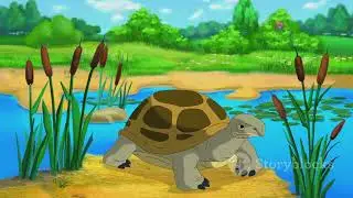Timmy the Turtle learns the Golden Rule