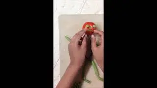 VEGETABLE MAN || NATIONAL NUTRITION WEEK SPECIAL ||