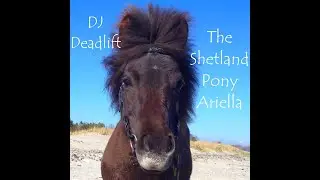 DJ Deadlift - The Shetland Pony Ariella