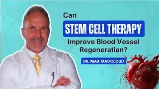 Can Stem Cells REVOLUTIONIZE Blood Vessel Repair in 2026?
