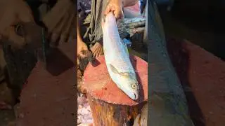 Amazing margil Fish Cutting in Bangladesh Fish Market | Expert Butcher Skill #shorts