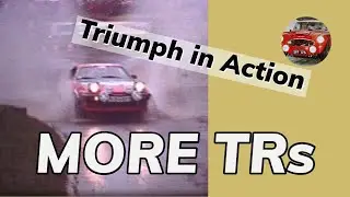 Triumph TRs in action (2)