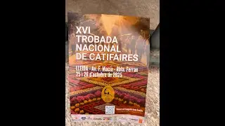 XVI Trobada Nacional de Catifaires