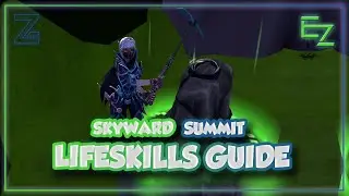Skyward Summit Life Skills Guide