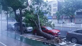 Typhoon Mangkhut: China's coastal areas brace for powerful storm