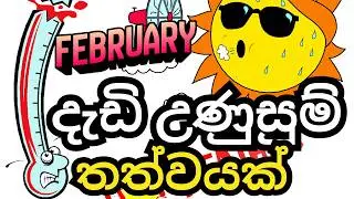 පෙබරවාරි දැඩි උණුසුම් තත්වයක් | February Extreme Heat in Sri Lanka ☀️