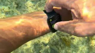 Die Unterwasserwelt für Anfänger erkunden mit meiner brandneuen #gopro12black