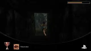 Tomb Raider I-III Remastered Starring Lara Croft_20260125223712