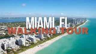 Virtual Walking Tour of Miami With Itinerary and Map