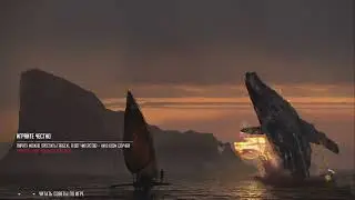 Да забавные Пираты Skull and Bones