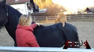 Ein etwas anderes Anti Schreck Training