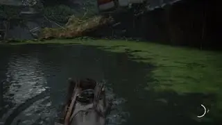The Last of Us Part II - Bug