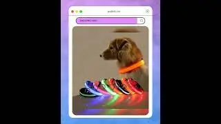 LED Nylon Dog Leash & Collar Set &ndash; Glow-in-the-Dark Flashing Pet Gear for Night Safety