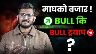 बिमा कम्पनीको 