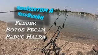 Nagydunai Feeder Horg&aacute;szatom Paduc Halra.  Kis Kap&aacute;s , De Eredm&eacute;nyes Nap!!