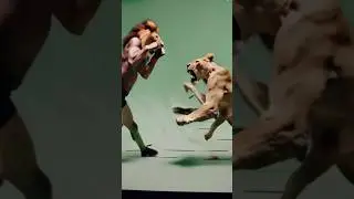 Tiger Vs Lion Danger Fight 4k Hd #funny #vfx #animal #realfools