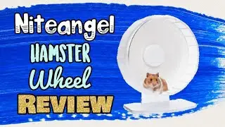 Niteangel Hamster Wheel Review