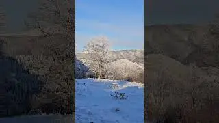 D&acirc;mbovicioara
