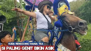 Kuda renggong bikin oleng - Dancing horse vido