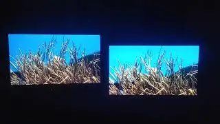 Samsung QN85D mini LED TV vs Panasonic ST60 plasma TV; Part 3