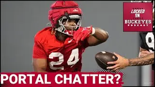 PORTAL NEWS: Sam Williams-Dixon Can THRIVE After Return to Ohio State