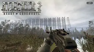 🔴S.T.A.L.K.E.R. 2 Heart of Chornobyl | Dia #31