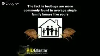 Eradicate Bed Bugs- Pest Control Services NJ - CALL (862) 701-2076