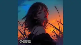 Sun Goes Down